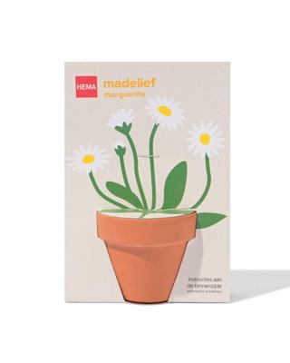HEMA Groeipot madeliefje