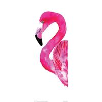 Poster Sofie Rolfsdotter Flamingo 30,5x91,5cm - thumbnail