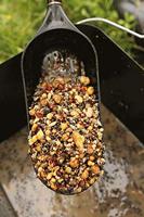 Fox Large Baiting Spoon - thumbnail