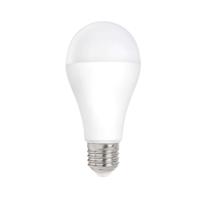 Power LED Lamp E27 - Mat - 18W vervangt 120W - Daglicht wit - 1900 lm - thumbnail