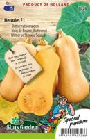 Butternutpompoen zaden Hercules F1 - thumbnail