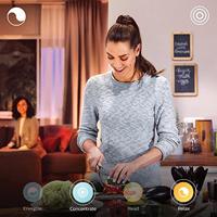 Philips Hue LED-paneel 35505700 Hue White & Col. Amb. Surimu Panel 120x30cm LED vast ingebouwd 60 W - thumbnail
