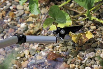 FlexiCut 2 in 1 vijvertang