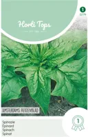 Zaden Spinazie Amsterdams Scherp Zaad 15 Gram Hortitops - Hortitops - thumbnail