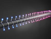 Konstsmide 3698-540 Micro-lichtketting Buiten werkt op het lichtnet Aantal lampen 80 LED RGB - thumbnail