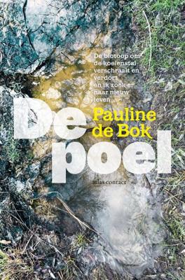 De poel (Paperback) De poel (Paperback)