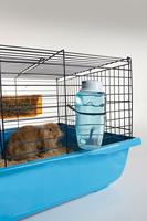 SAVIC DRINKFLES SOURCE ASSORTI 600 ML - thumbnail