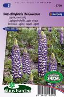 Lupinus zaden Russell Hybrid The Governor lupine - thumbnail