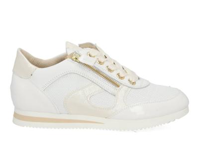 DL Sport 6994 vers 06 bianco Wit maat 40