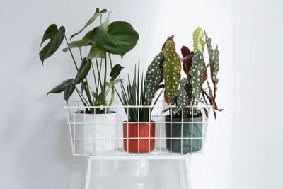 Bloempot B.for soft 16 cm wit elho - Elho - thumbnail