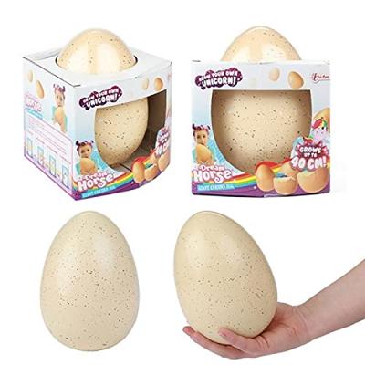 Dream Horse eenhoorn ei