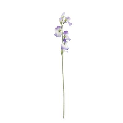Lathyrus Kunsttak 64cm Blauw