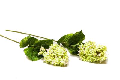 Kunstbloem Hydrangea Microphila
