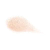 Blush Shiseido Total Radiance Vrouw - thumbnail