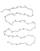 HEMA Lichtsnoer 8.67m met 50 LED lampjes voor binnen en buiten (multicolor) - thumbnail