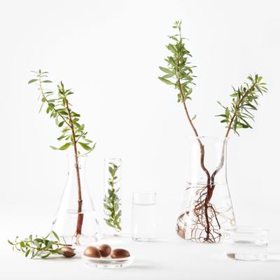 Garnier Bio argan voedende mist (150 ml)