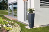 Vaso design regenton antraciet 220 liter met plantenbak - thumbnail
