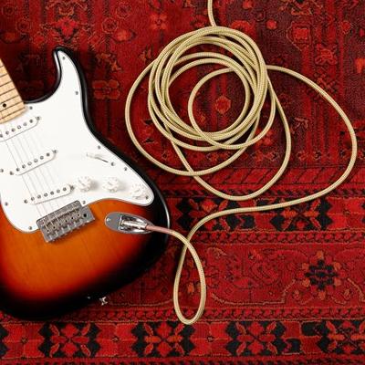 D'Addario PW-BG-10BK Braided instrumentkabel zwart 10ft (3.05 m) recht-recht D'Addario PW-BG-10BK Braided instrumentkabel zwart 10ft (3.05 m) recht-recht