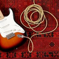 D&apos;Addario PW-BG-10BK Braided instrumentkabel zwart 10ft (3.05 m) recht-recht - thumbnail