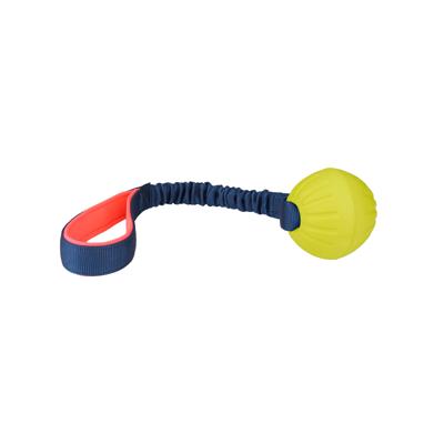 Training toy Coachi TUGGI BALL Blauw