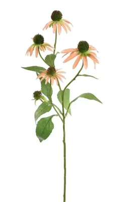 Pure Royal kunsttak rudbeckia 75cm perzik