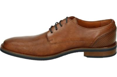 Van Lier 2518660 - alle