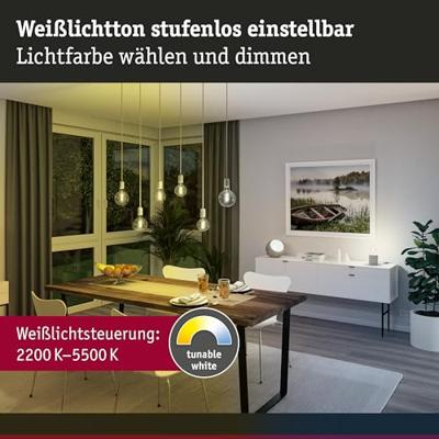 29157 Paulmann Home LED-lamp E27 Energielabel: G (A - G) 7.5 W Warmwit tot koudwit Goud