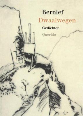 Dwaalwegen - J. Bernlef - eBook (9789021448299)