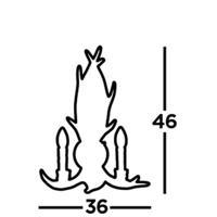 Searchlight Houten wandlampStag - 6412-2BR - thumbnail