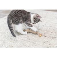 Trixie Gewicht: 20 cm - thumbnail