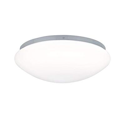Paulmann Leonis 70980 LED-buitenlamp (wand) LED 10 W Wit