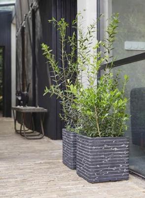 Capi plantenbak nature row vierkant 30x30 cm antraciet krwz902