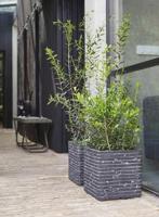 Capi plantenbak nature row vierkant 30x30 cm antraciet krwz902 - thumbnail