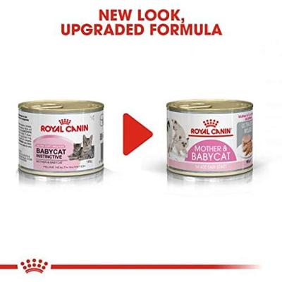 Royal Canin mother & babycat natvoer voor katten en kitten 195gr blik mousse