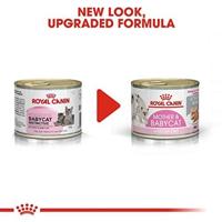 Royal Canin mother & babycat kattenvoer 12x195gr blik mousse - thumbnail
