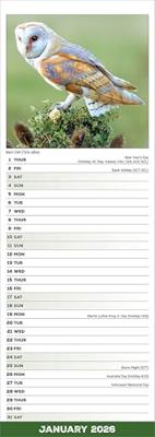 Uilen Kalender 2026 Slimline