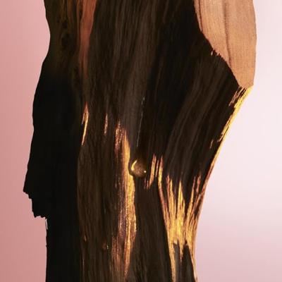 Rabanne Fame Eau de Parfum Intense Refill 200ml Rabanne Fame Eau de Parfum Intense Refill 200ml