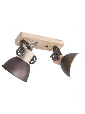 Steinhauer PlafondspotGearwood 2-lichts - 7969A