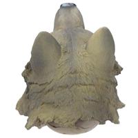 Schedel met Wolf Hoofd Woonaccessoire - thumbnail