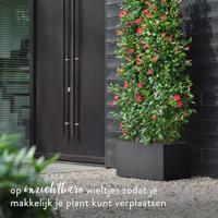 Bloempot Elho Zwart Ø 78 cm Plastic Rechthoekig Modern - thumbnail