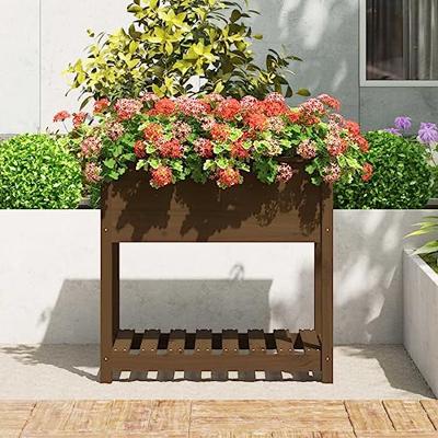 Plantenbak met schap 82,5x54x81 cm grenenhout honingbruin