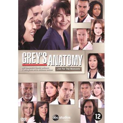 Grey's Anatomy - Seizoen 10 (DVD)