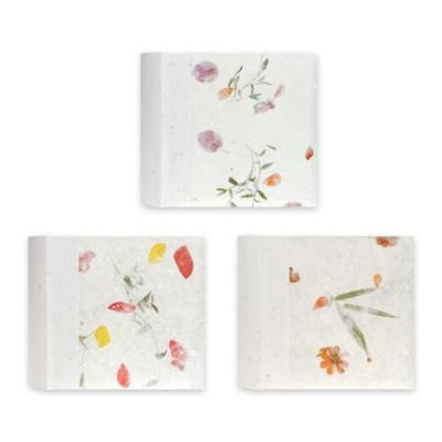 Zep RP46200 Album Slip-in 200 photos 10x15 cm Zep RP46200 Album Slip-in 200 photos 10x15 cm