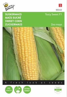 Zaden Suikermais Tasty Sweet F1 Buzzy - Buzzy