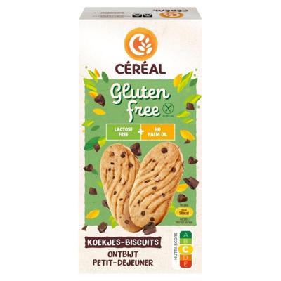 Ontbijtkoekjes glutenvrij