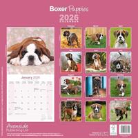 Boxer Puppies Kalender 2026 - thumbnail