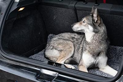 Royal Dry Deurmat Voor Honden L