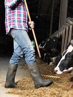 Dunlop C462933 Purofort Professional full safety S5 | Groen | Maat 40 - 15.032.046.40 - thumbnail