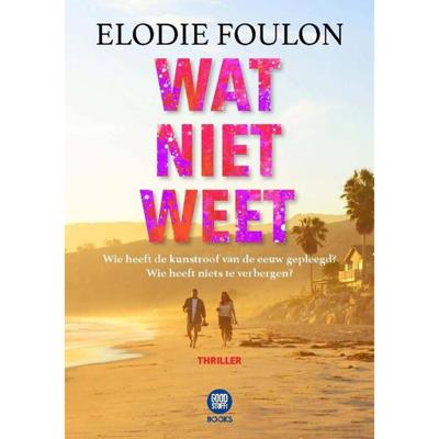Wat niet weet (Paperback)
