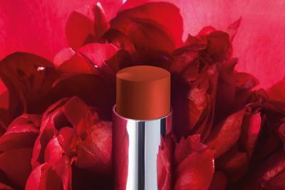 Christian Dior - Dior Rouge Dior Forever Transfer-Proof Lipstick 840 Forever Radiant Lippenstift 3.2 g Dames
